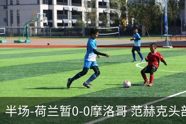 半场-荷兰暂0-0摩洛哥 范赫克头部屡遭重创血染赛场 费布吕亨神扑