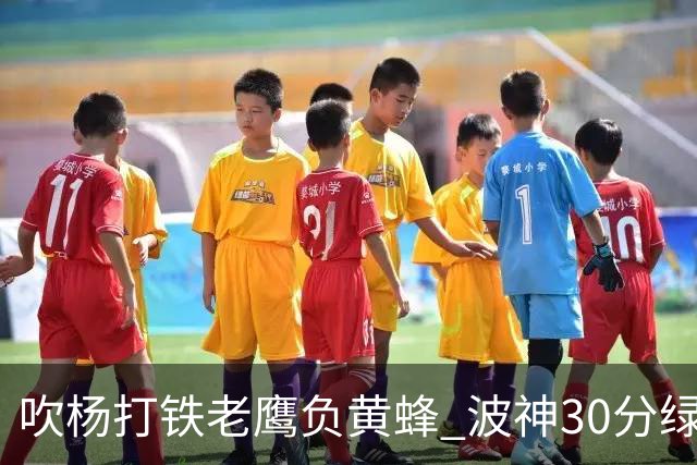 吹杨打铁老鹰负黄蜂 波神30分绿军险胜尼克斯