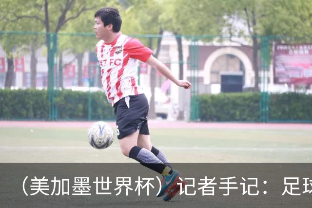 （美加墨世界杯）记者手记：足球世界，规则谁定？